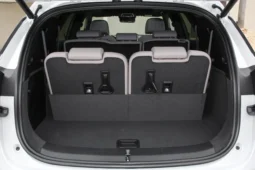 
										BYD Tang DM-i full									