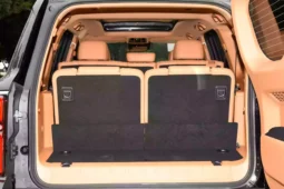 
										GWM Tank 500 full									