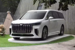 
										Voyah Dreamer PHEV full									