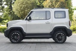 
										Baojun Yueye full									