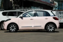 
										Wuling Bingo full									