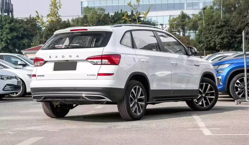 
								Škoda KAMIQ full									