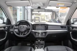 
										Škoda KAMIQ full									