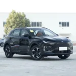 Neta X 500 – For Sale From China | Chinese New Energy Vehicles for Sale - Image 11